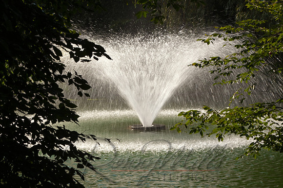 1657 Arboretum.jpg
