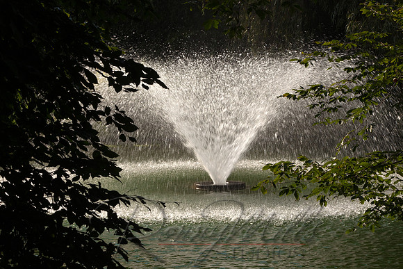 1656 Arboretum.jpg