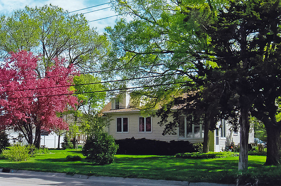 Allen3543 Home