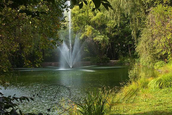 1644 Arboretum.jpg