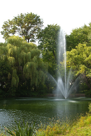 1641 Arboretum.jpg