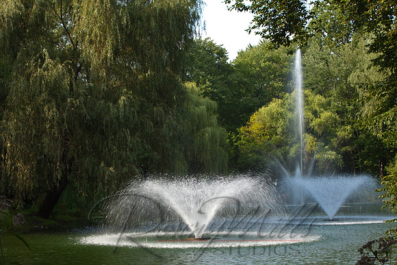 1658 Arboretum.jpg