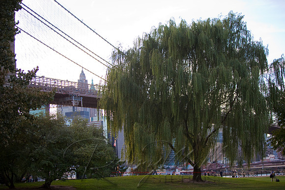 3248 Brooklyn.jpg